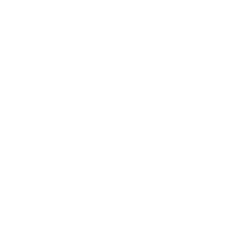 NASTY CITY