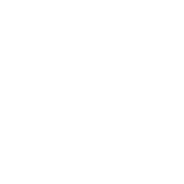 NASTY CITY